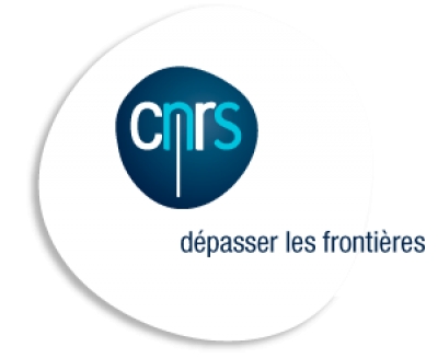 Journal CNRS